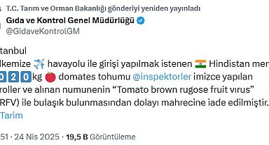 Virüslü domates tohumu iade edildi