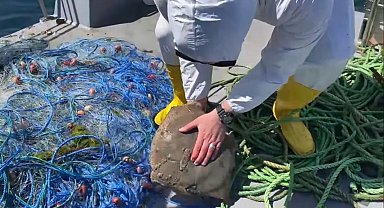 Yasağa rağmen 'kalkan' avlayan balıkçıların ağlarına el konuldu, balıklar suya salındı