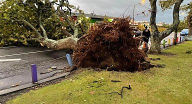 Yeni Zelanda'da fırtına elektrik kesintisine neden oldu
