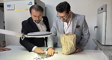 Yerli ve milli hibrit ayçiçeği tohumunda yeni versiyon tescillendi