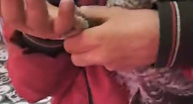 Yuvasından düşen yavru baykuşu kasaba götürüp etle beslediler