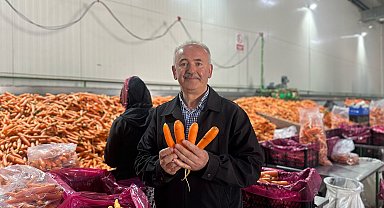 Zirai dona karşı soğuk hava tesisi ile önlem