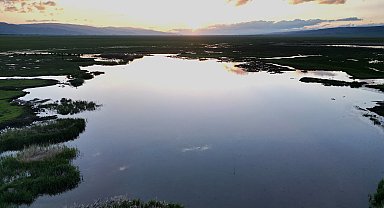 140 türe ev sahipliği yapan İron Sazlığı'nda kuş manzaraları