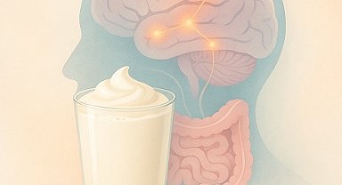 'Kefir, bağırsak iltihaplanmasını baskılayarak nöroinflamasyonun azaltılmasına katkı sağlayabilir'