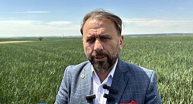 'Yağmur yağmazsa Trakya'da tarihin en büyük kuraklığı yaşanacak'