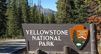 ABD'de trafik kazası: 7 ölü