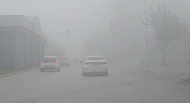 Adana'da sis etkili oldu