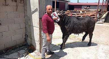 Afyonkarahisar'da komşuların arazi kavgası kanlı bitti: 1 ölü