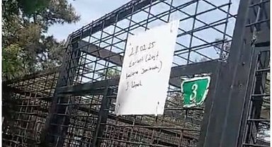 Barınakta hayvanların uyutulduğu iddialarına hayvanseverlerden tepki