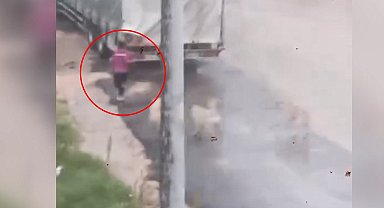 Başıboş köpeklerin çocuğu kovaladığı anlar kamerada