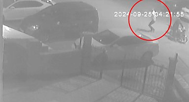 Batman'da iş yeri kurşunlayan ve adam kaçıran suç örgütü çökertildi: 9 tutuklama