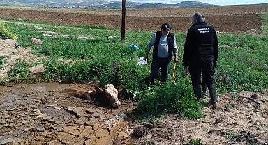 Çamura batan ineği itfaiye kurtardı