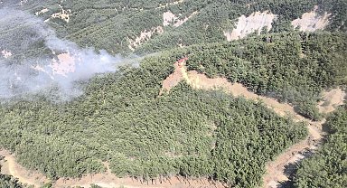 Çanakkale'de çıkan orman yangını 1 saatte kontrol altına alındı