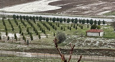 Çankırı'da sağanak ve dolu; 8 bin dönüm tarım alanı zarar gördü