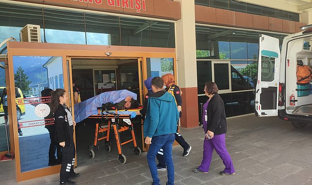 Çoban, omzundan düşen av tüfeği ateş alınca sırtından yaralandı