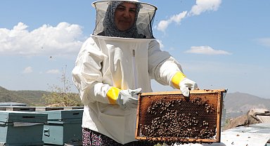 Çocukları için arıcılığa başlayan 3 çocuk annesi, kovan sayısını 5'ten 50'ye çıkardı
