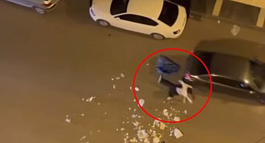 Çöpleri yola döküp geçen araçlara saldırdı