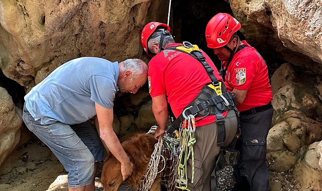 Dere yatağında mahsur kalan köpeği, AKUT ekibi kurtardı