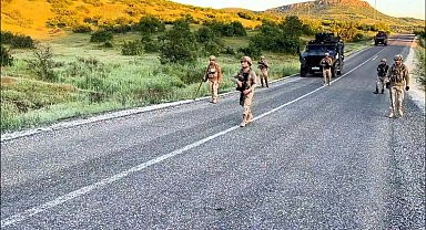 Diyarbakır'da 7 milyon 543 bin kök kenevir ve skunk ele geçirildi: 8 gözaltı