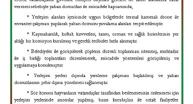 DKMP'den 'yaban domuzu' açıklaması