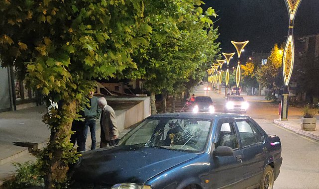 Edirne'de, ağaca çarpan otomobilin alkollü sürücüsü yaralandı