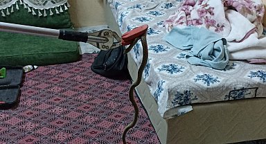 Eve giren yılan, itfaiye görevlilerince yakalandı