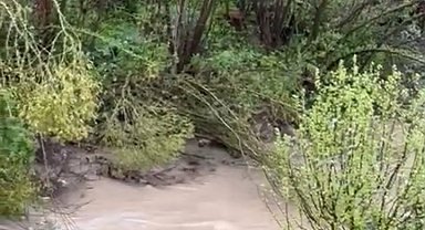 Gümüşhane'de hafif ticari araç dereye devrildi: 1 ölü, 4 yaralı