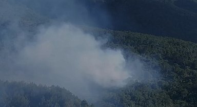 Hatay'da çıkan orman yangını büyümeden söndürüldü