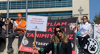 Hayvanseverlerden, AYM önünde 'Hayvanları Koruma Kanunu' nöbeti