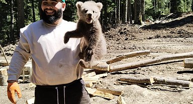 İş makinesinin içerisine giren yavru bozayı kamerada