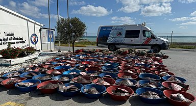 İstanbul- Arnavutköy'de kaçak avlanan 900 kalkan balığına el konuldu