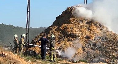 İstanbul- Arnavutköy'de samanlıkta çıkan yangın ahırlara sıçramadan söndürüldü