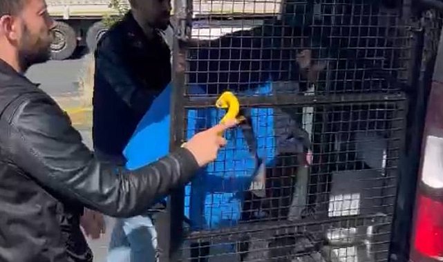 İstanbul - Bayrampaşa'da eski eşinin üzerine otomobilini sürdü