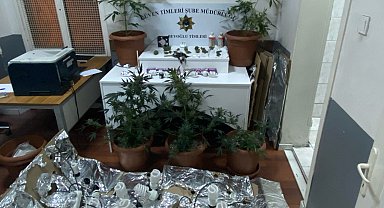 İstanbul- Beyoğlu'nda kiraladıkları daireye uyuşturucu serası kuran 2 şüpheli yakalandı