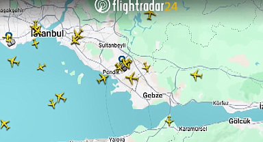 İstanbul - Sabiha Gökçen Havalimanı apronunda ördek alarmı