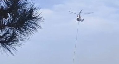 İstanbul - Sultangazi Kent Ormanı'nda yangın - 1