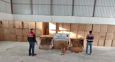 İzmir'de 6 ton kaçak tütün ele geçirildi