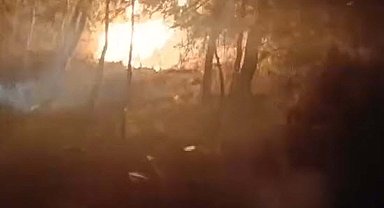 İzmir'de orman yangını çıkaran 5 defineci tutuklandı