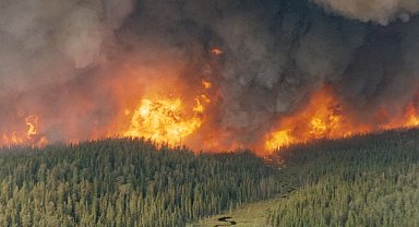 Kanada'nın Manitoba eyaletinde orman yangınları nedeniyle olağanüstü hal ilan edildi