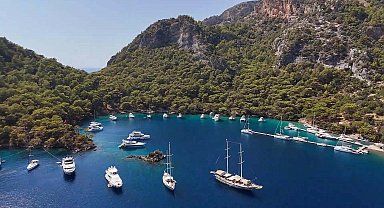 Kaplumbağalar için müzik yasağı