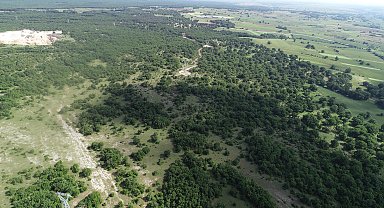Kırklareli'de ormanlara girişler yasaklandı