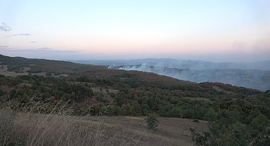 Kocaeli'de orman ve makilik alanlara giriş yasağı
