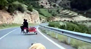 Köpeği motosiklete bağlayıp sürükleyen sürücü gözaltına alındı