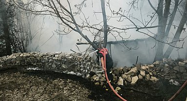 Kütahya'da 4 kümes yandı; 100 tavuk öldü