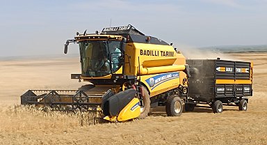 Mardin'de ilk arpa hasadı yapıldı; çiftçi gram altınla ödüllendirildi