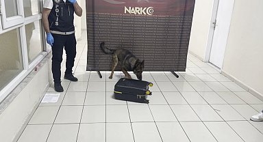 Otobüste valizine gizlediği uyuşturucuyu 'Mailo' buldu; tutuklandı