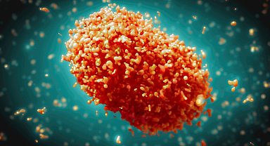 Pakistan'ın Bacur bölgesinde maymun çiçeği vakalarındaki artış nedeniyle 12 günlük kapanma ilan edildi