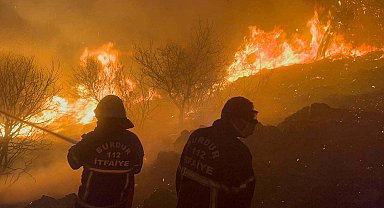 Prof. Dr. Semenderoğlu: Orman yangınlarına karşı kızılçamların arasına servi dikilebilir
