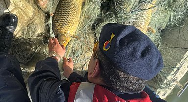 Samsun'da ağa takılan balıkları jandarma kurtardı