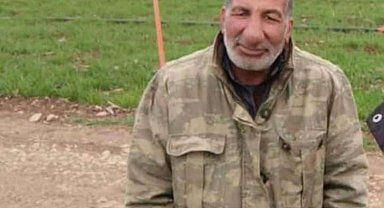 Şanlıurfa'da otomobilin çarptığı çoban öldü